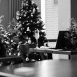 Why Holiday Parties Matter (and How Lakeside Weddings & Events Delivers Memorable Corporate Celebrations)